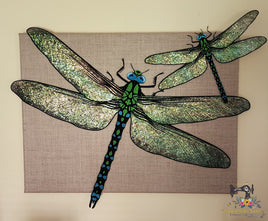 3D FSL and Deluxe Designs