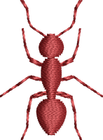 Aaliyah's Ants