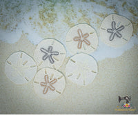 FSL Sand Dollar Charm