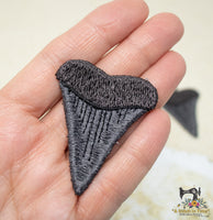 FSL Shark Teeth