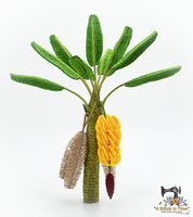 3D FSL Banana Tree