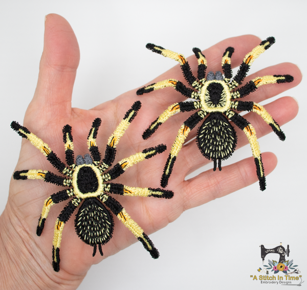 FSL Mexican Orange Beauty Tarantula Set| A Stitch in Time