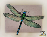 FSL & Mylar Giant Dragonfly - 9.5x14 hoop
