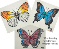 Butterfly Set - Line Drawings