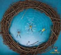 FSL Yellow Garden Spider