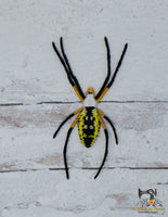 FSL Yellow Garden Spider