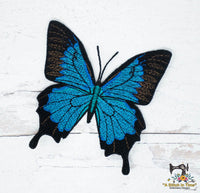 FSL Blue Emperor Butterfly