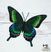 FSL Alpine Black Swallowtail