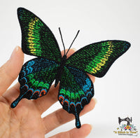 FSL Alpine Black Swallowtail