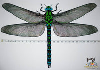 FSL & Mylar Giant Dragonfly - 9.5x14 hoop