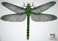 FSL & Mylar Giant Dragonfly - 9.5x14 hoop