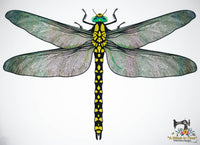 FSL & Mylar Giant Dragonfly - 9.5x14 hoop