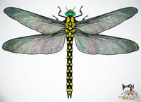 FSL & Mylar Giant Dragonfly - 8x12 hoop