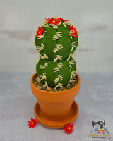 FSL Barrel Cactus