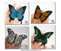 FSL Butterfly Bundle