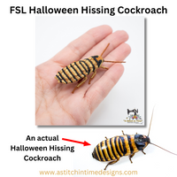 FSL Halloween Hissing Cockroach