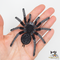 FSL Brazilian Black Tarantula