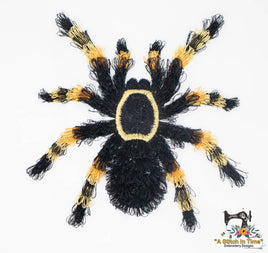 Fringe Red Knee Tarantula