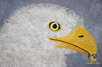 Fringe Bald Eagle