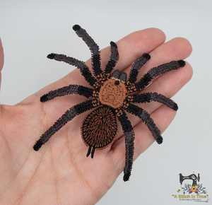 FSL Texas Brown Tarantula