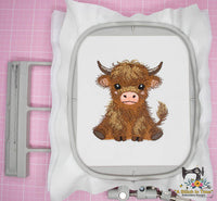 Highland Cow