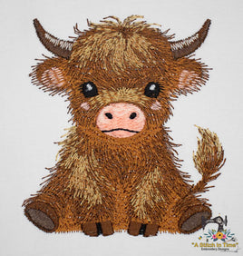 Highland Cow
