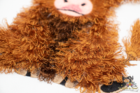 Fringe Highland Cow