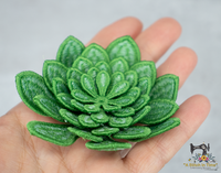 FSL Echeveria Succulent