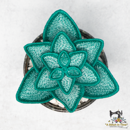 FSL Celtic Succulent