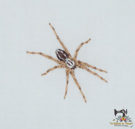 Wolf Spider
