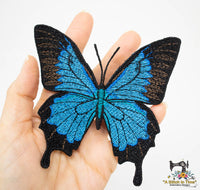 FSL Butterfly Bundle