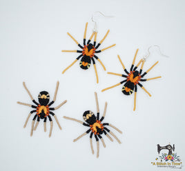 FSL Trinidad Dwarf Tarantula  &  FSL Earrings