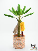 3D FSL Banana Tree