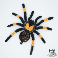 FSL Red Leg Tarantula