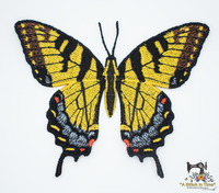 FSL Eastern Tiger Swallowtail Butterfly