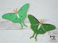 FSL Luna Moth