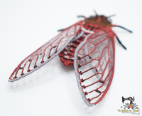 FSL Cicada Set