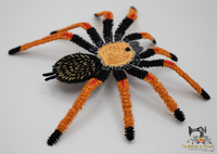 FSL Mexican Fireleg - Bloodleg Tarantula