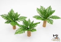 FSL Tree Fern