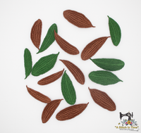 FSL Southern Live Oak Leaves