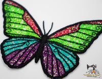 FSL & Mylar Colorfly Butterfly