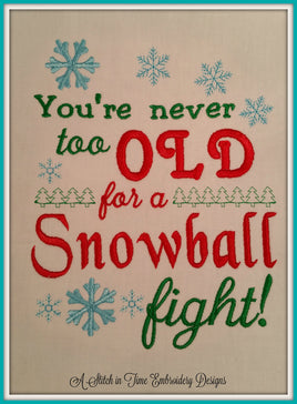 6 x 10 Snowball Fight