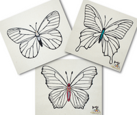 Butterfly Set - Line Drawings