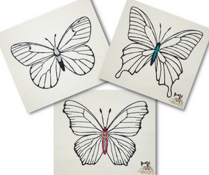 Butterfly Set - Line Drawings