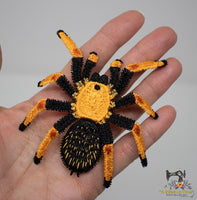 FSL Fire Leg Tarantula