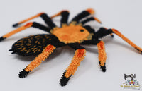 FSL Fire Leg Tarantula
