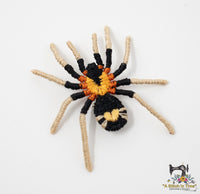 FSL Trinidad Dwarf Tarantula  &  FSL Earrings
