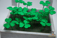 FSL Clovers