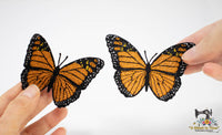 FSL Monarch Butterfly