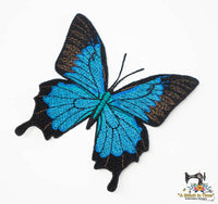 FSL Blue Emperor Butterfly